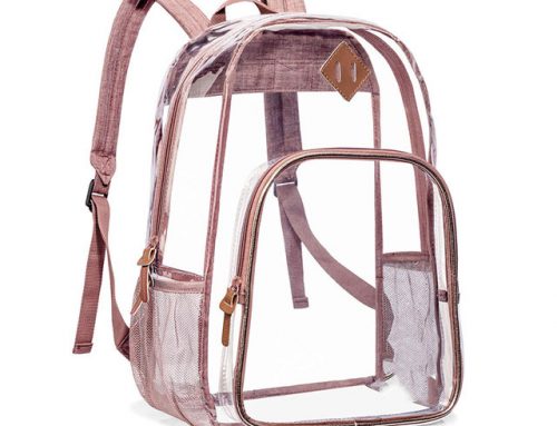 Clear transparent pvc backpack